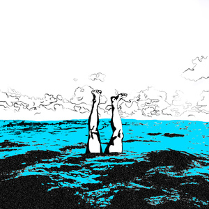 Колючий фекал