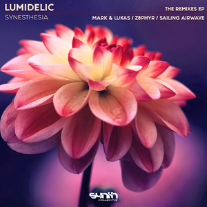 Synesthesia (Sailing Airwave Remix)