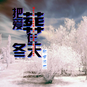 把爱葬在冬天