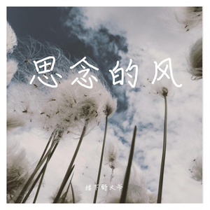 思念的风（demo）