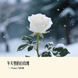 冬天里的白玫瑰 (Cover GS大头)
