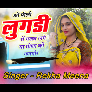 ओ पीली लुगडी में गजब लगे या मीणा की गणगौर