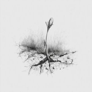 Ручьи весенние