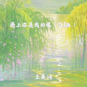 遇上你是我的缘 (DJ版)