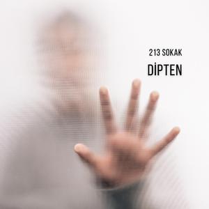 213 sokak
