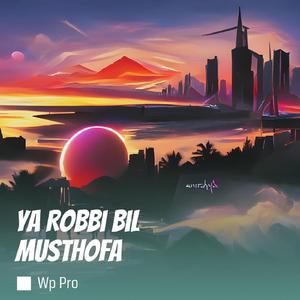 Ya Robbi Bil Musthofa (Remix)