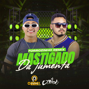 Mastigado Da Jumenta (Forrozinho Remix)