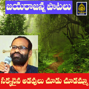 Chakkanaina Adavulu Chudu Chudamma