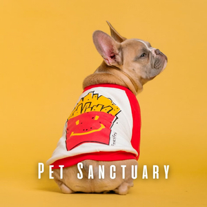 Oceanic Playtime Binaurals