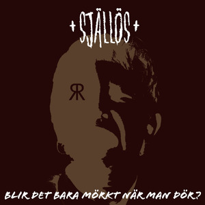 Blir det bara mörkt när man dör?