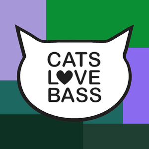 In Your Face (Original Mix)