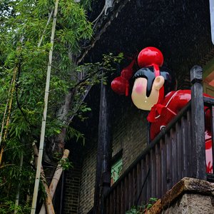 我想你终究会离开