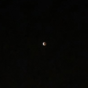 我会数羊数到数字Eighty eight （Prod by EVOMUSIC）