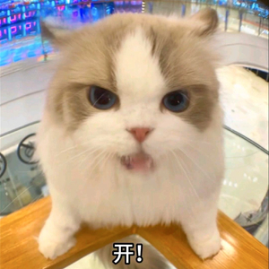 皇冠一刻钟（DJ纯音乐）.wav