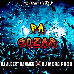 Pa Gozar (feat. Dj Mor8)