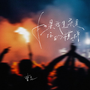 如果我生来是你的模样