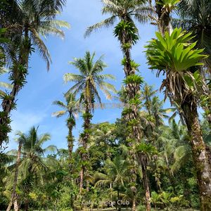 办公室工作轻音乐