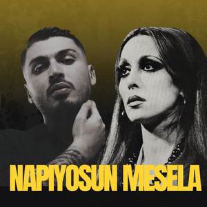 NAPIYOSUN MESELA