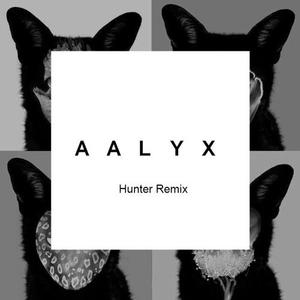 Hunter (AALYX Remix)