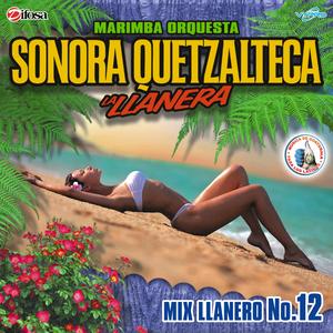 Mix Llanero de Quebraditas 3: Muñeca de Ojos de Miel / Que Tiene la Niña / Mary Es Mi Amor / Lo Dijo el Corazón