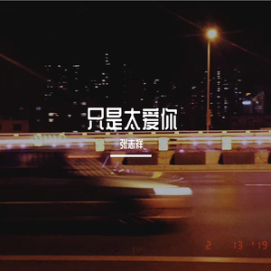 只是太爱你