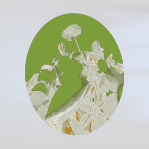 不禁止燃放烟火