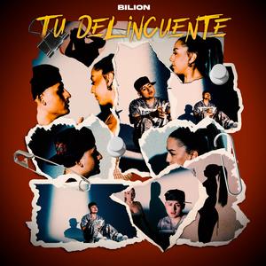 Tu delincuente