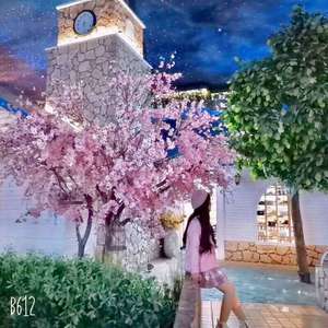 Baby Don’t Cry（翻自 EXO）