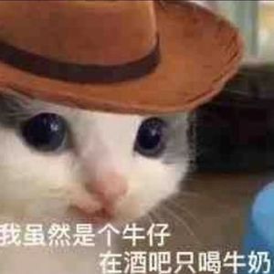 SAD! $ WI ING WI ING（翻自 XXXTENTACION）