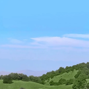 You know the consequences