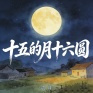 十五的月十六圆