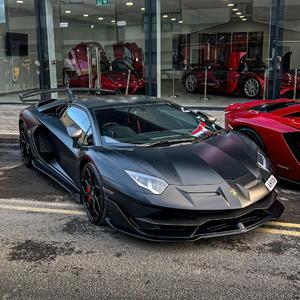 Dale Don Dale（抖音版）