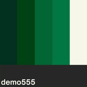 demo 555