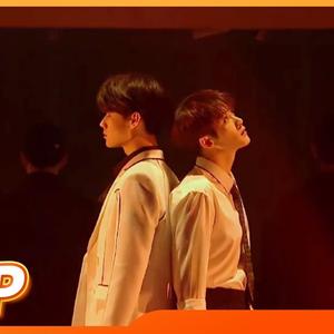 不被驯服的动物（live）