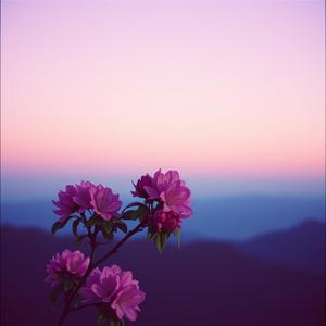 लालीगुराँस फुल्दा