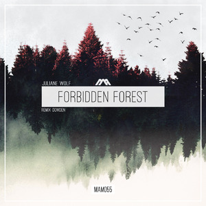 Forbidden Forest (Dowden Remix)