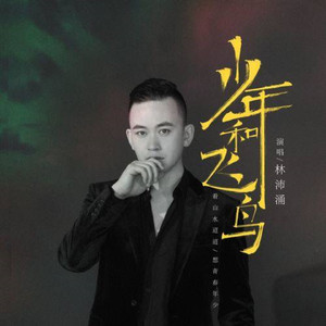 少年和飞鸟 (DJheap九天版)