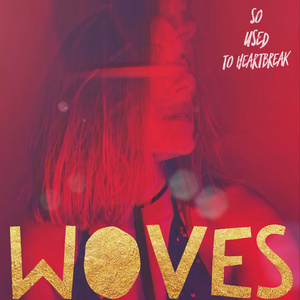 So Used to Heartbreak