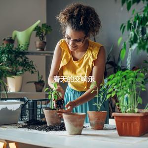 Hip Ambience for Finding Creativity Inside