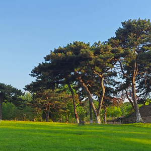 에잇(eight) (cover IU)