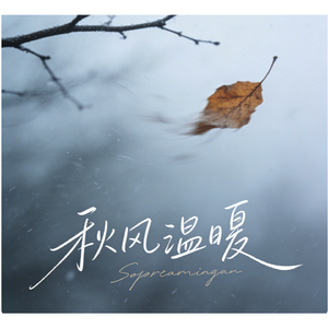 风收走最后一片落叶