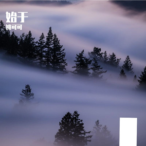 始于荒唐始于梦