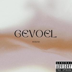 Gevoel