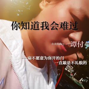 小丑（谭付）-你知道我会难过