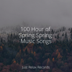 Tranquil Heights Ahead