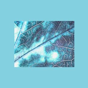 【FREE】“dangerous woman”(intro)