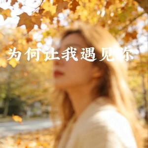 为何让我遇见你