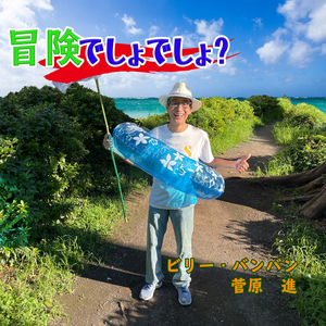 冒険でしょでしょ