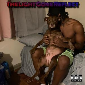 The Light Gone Reflect