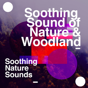 Blue Lake and Evergreen